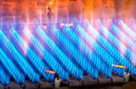 Abergynolwyn gas fired boilers